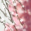 토미그림공방 이미지
