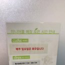 미니어몰