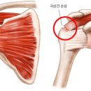 지엘필라테스 - 고양시 덕양구 꽃마을로 42 | 지엘필라테스
