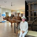 남해-233 이미지