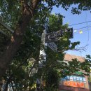 수정냉면 이미지