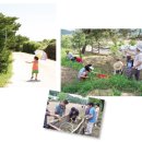 스테이 촌 이미지