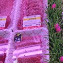 초이스마트 이미지