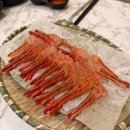 안나여행사주