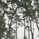 하조도등대 이미지