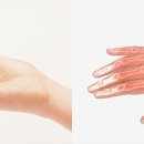 원광려한의원 이미지