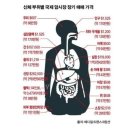 트렌독 이미지