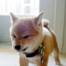 멍 이미지
