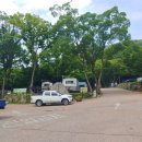 무주열쇠천막건업 | 대구 가볼 만한 곳 비슬산자연휴양림 은행나무 1박 후기