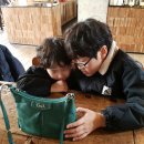 강원도 여행 3일째) 속초 한화리조트에서의 아침 풍경과 강릉 시내 커피집 TERAROSA 에서 이미지