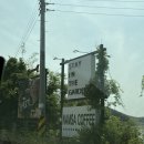 창리낚시터 | 서울근교 용인 처인구 힐링 대형카페 남사커피 애견동반 가능