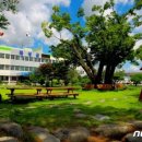 곡성-141 이미지