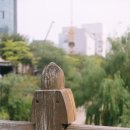 춘크래프트 | [라이카 올드렌즈 오버홀 / overhaul]LEICA summarit 50mm f1.5 와 LEICA Summicron 50mm f2 DR_거인...