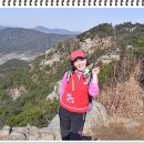꽃돼지와미운오리