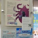 구서동물병원 이미지