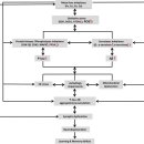 Current understanding of metal ions in the pathogenesis of Alzheimer’s dise 이미지