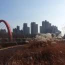 운정건강공원 축구장 이미지