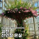 직지환경 | 김천여행 친환경생태공원 따뜻한 선인장 온실