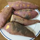 평화농장 | 집에서 군고구마 꿀고구마 햇고구마 추천 평화노래농장 유기농고구마 베니하루카