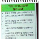 민서희 카카오 검색결과