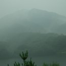 F81 이미지