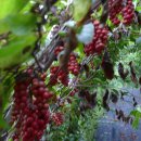 민기농장 이미지