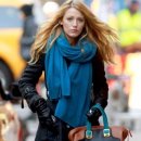 카멜레온 디테일 이미지