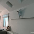 풀빌라펜션 이미지