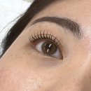 다온래쉬 이미지