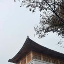 에꼬빌