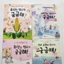 추천도서] 배경지식과 문해력을 동시에 잡는 '꼬마 이실 세상이 궁금해지는 초등 지식 탐험 세트 ②' 후기