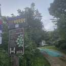우리밀연주