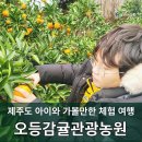 오등감귤체험관광농원