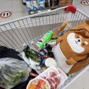 [용인여행] 용인 캠핑장 대장금파크 복층 글램핑 카라반 후기