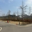 고인돌 오토캠핑장 이미지