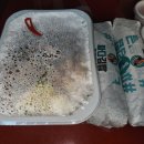 싸다김밥부산연산역점