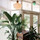 온화약국 이미지