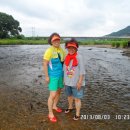 십이선여탕 이미지