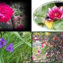 움직이는 방 이미지