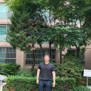 니트러브 | 수아레 헨리넥 반팔 니트 내돈내산 솔직 후기｜가성비는 최고, 아쉬운 점도 있었다