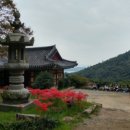 천일각 이미지