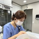 별내동물병원 | 별내동물병원 만성 구토와 설사가 반복된다면 IBD를 의심해봐야 합니다.
