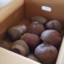 별별농장 이미지