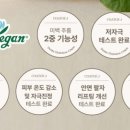 코토프제이