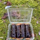 다미김밥 이미지