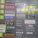 배배라운지