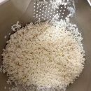 직접 만들어본 타키코미고항 후기 및 레시피 정리 (일본식 영양밥)