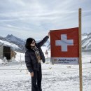 융프라우 | 스위스 융프라우 극초기 임산부 후기(고산병약 X)