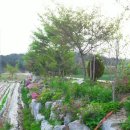 제현농장 이미지