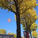 두암1동 주민센터 이미지